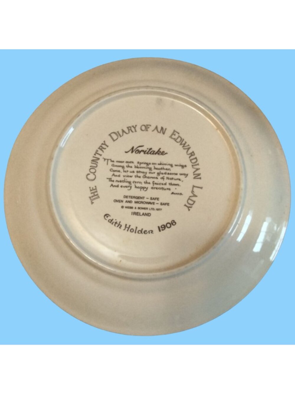 Noritake of Ireland Country Diary of An Edwardian - Picture 12 of 14